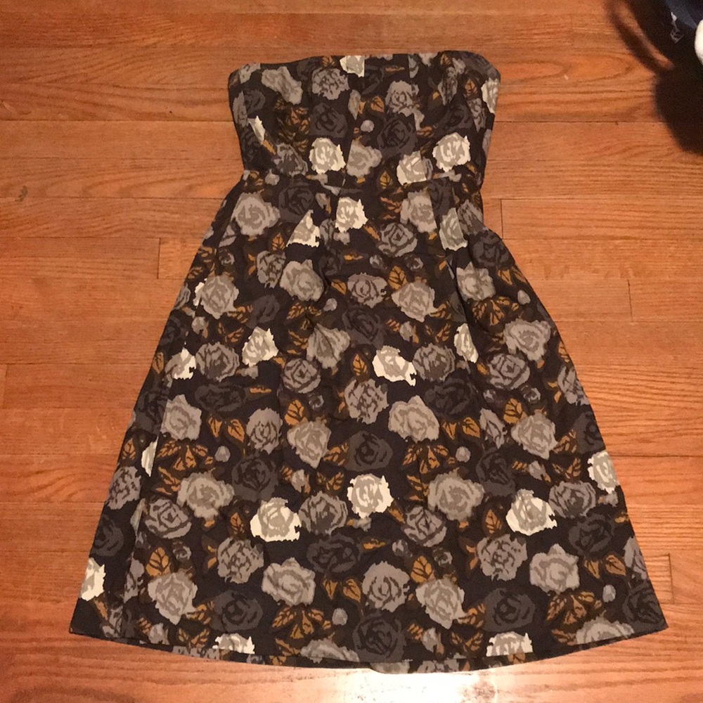 J.Crew Dress